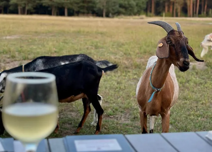 Apartamento Makówka *