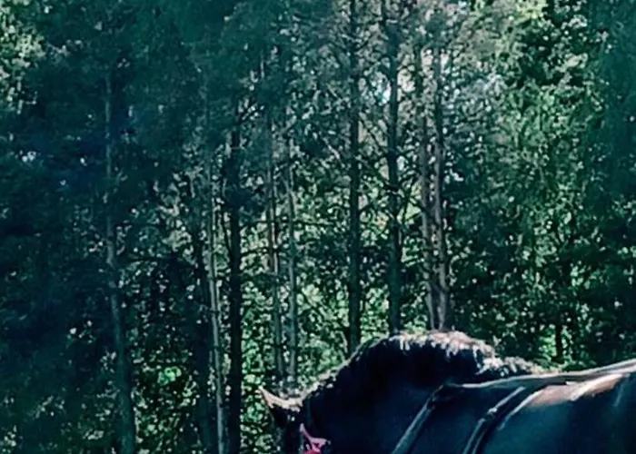 Makówka Apartamento *