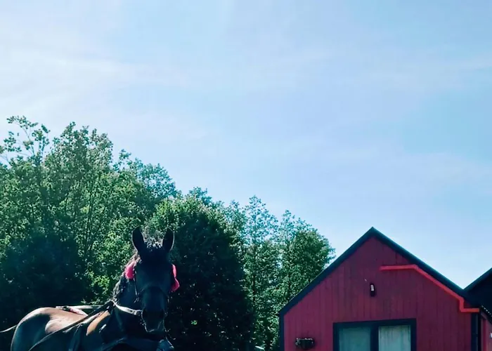 Apartamento Makówka *